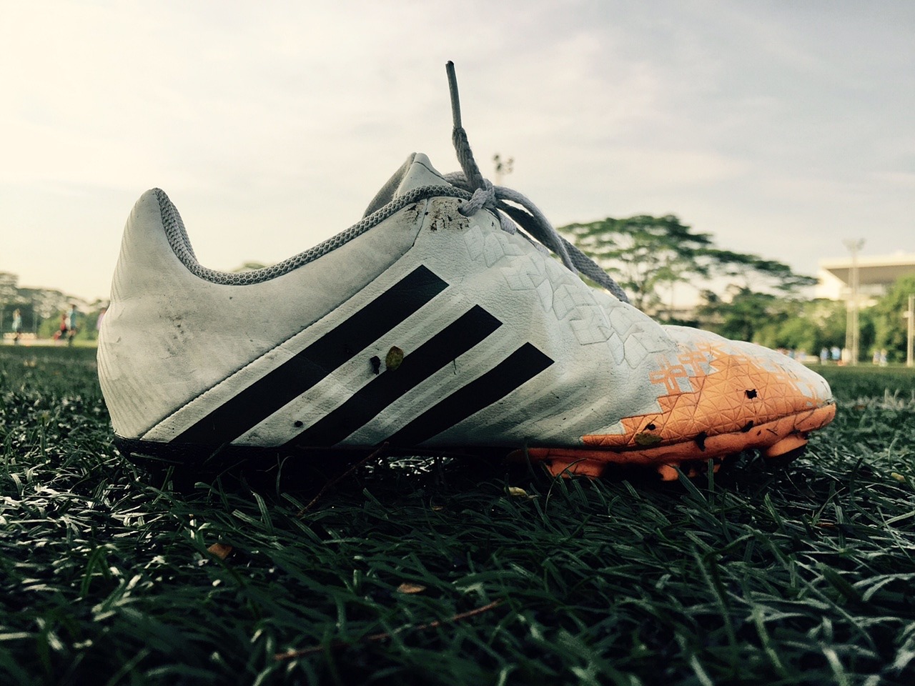 didas