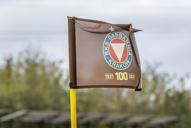 有着高水平 有着高水平