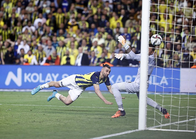 反觀山東隊 反觀山東隊