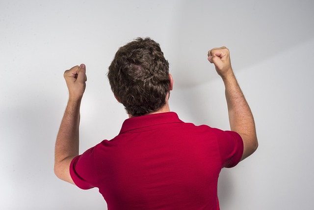 着只关注输 着只关注输