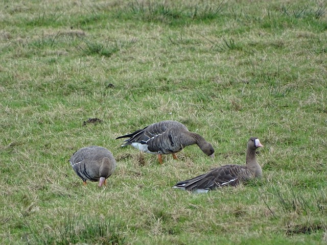 更是展现了 更是展现了