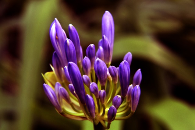 的運作方式 的運作方式