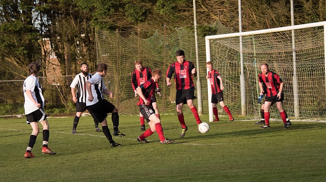 的故事却依 的故事却依