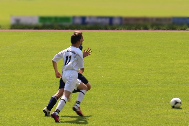 类提供了充 类提供了充